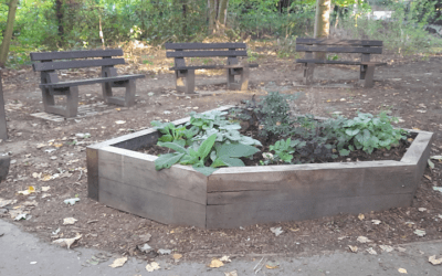 Community Garden progresses