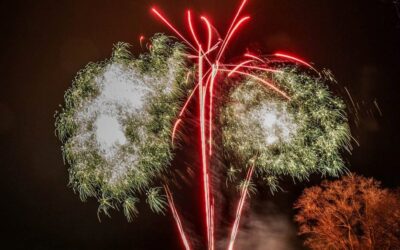 New Year Fireworks