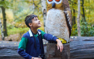Half-term Clubs and Activities