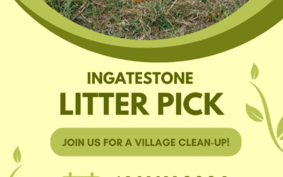 Join the Village Litter Pick on 16 May