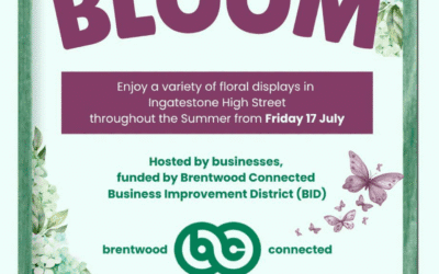Ingatestone In Bloom and Other Summer Events